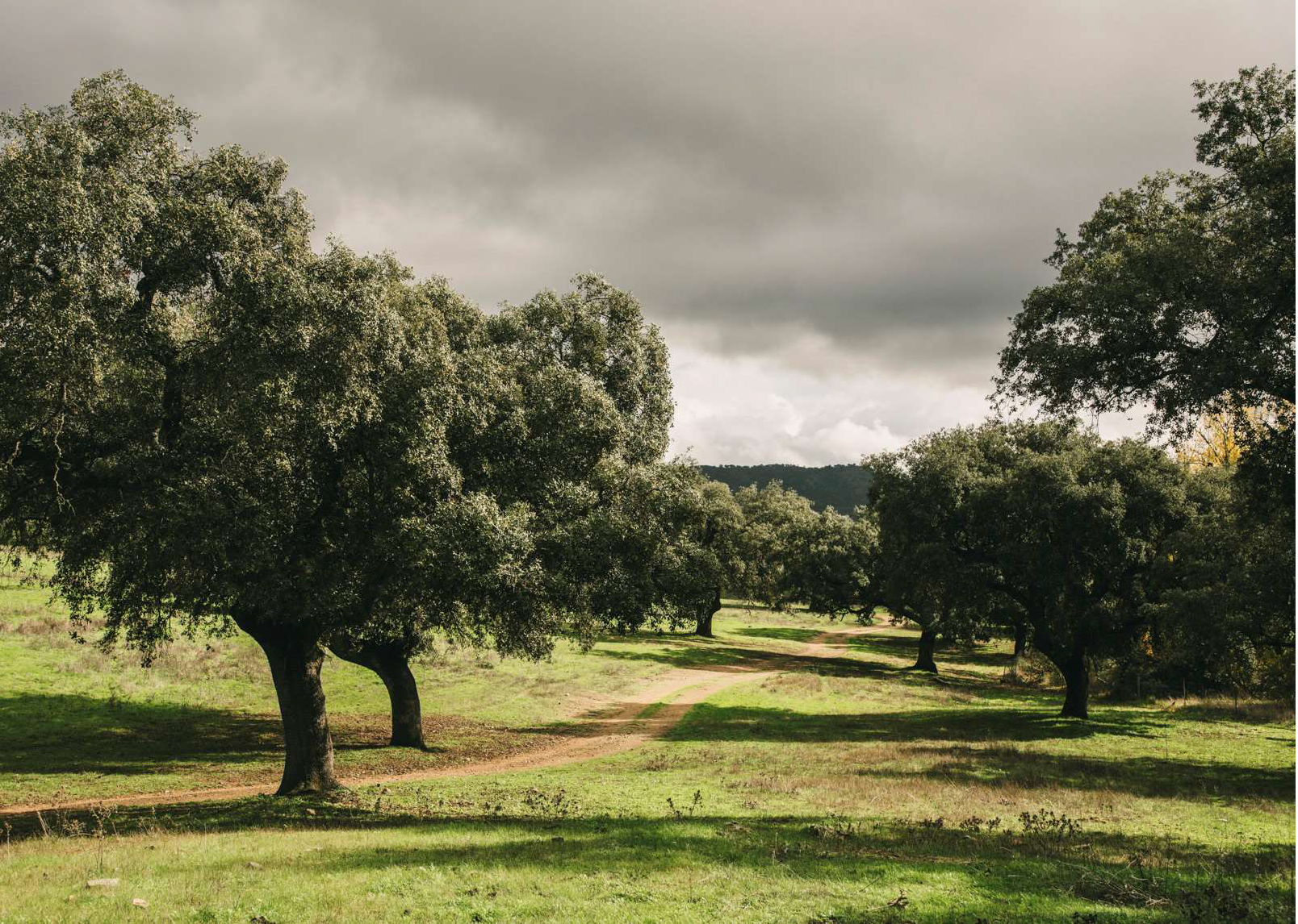 Granja ecologica