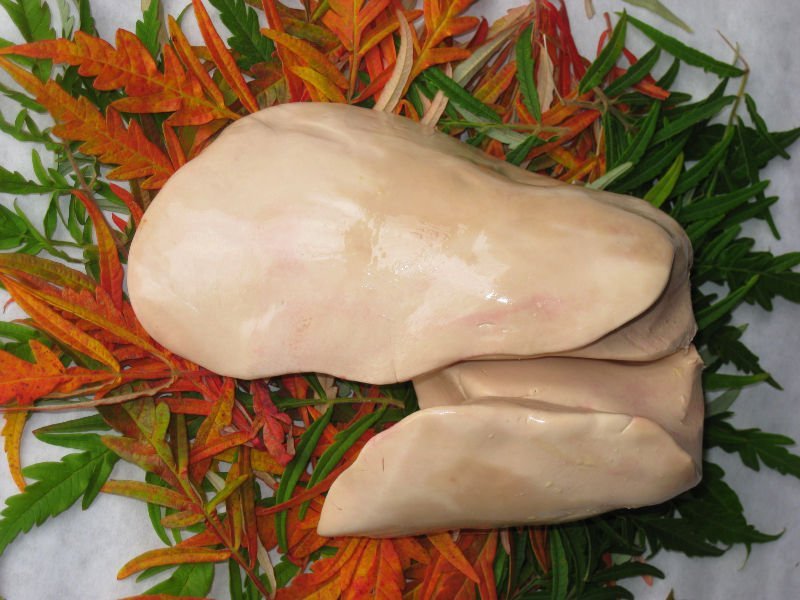 Foie gras