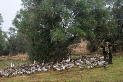 Visite La Granja